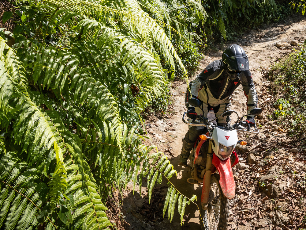 Ethics and Transparency